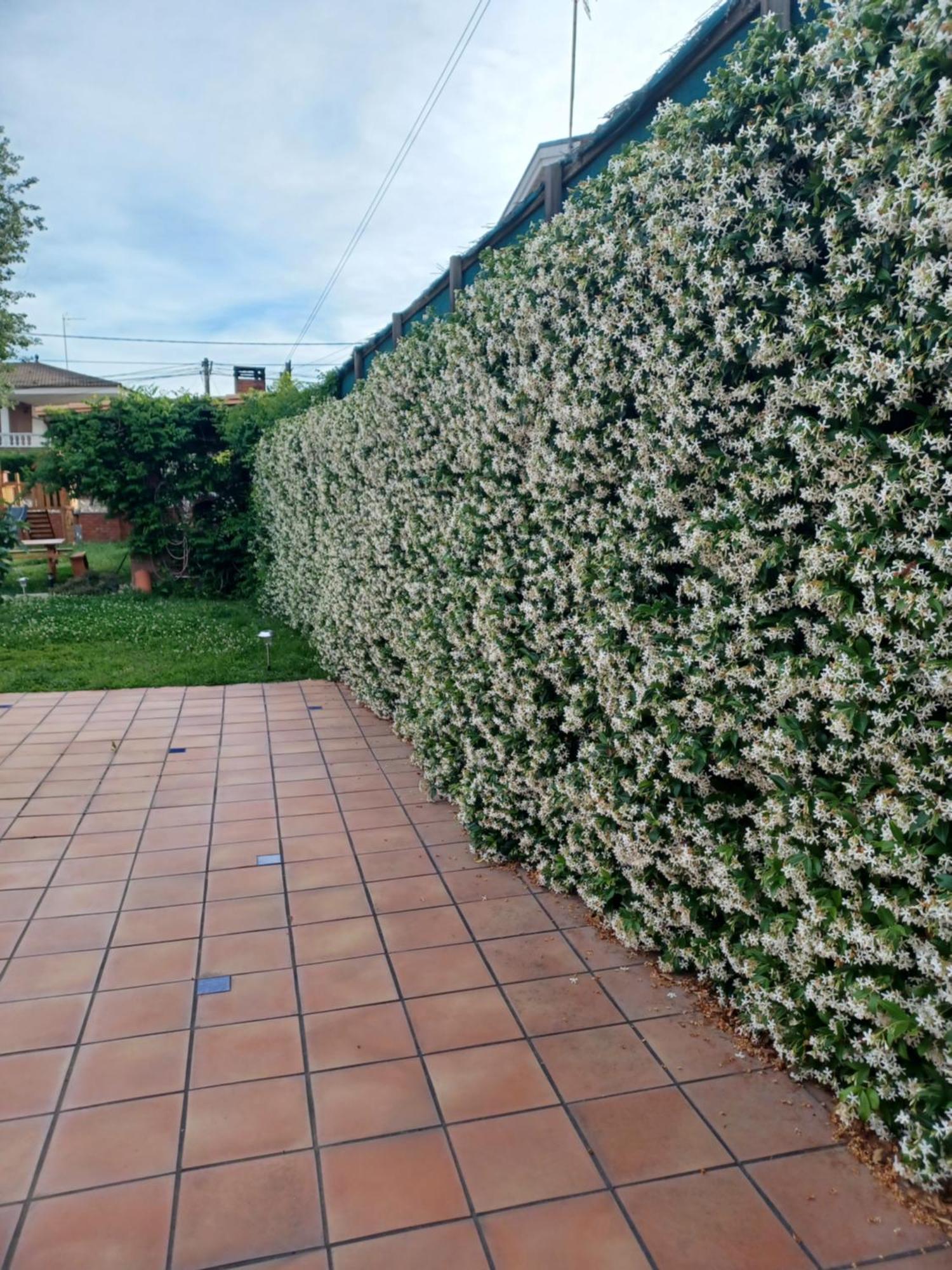 Piscina De Sal Barbacoa Wifi, Parking Gratis, 3 Min Pga Casa El Roble Villa Girona Kültér fotó